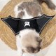thumbnail image 1 of Disfraz de Murciélago para Mascota, Decoración para Fiesta de Halloween, Disfraz de Cosplay de Halloween, Accesorios para Disfrazar a Tu Mascota., 1 of 6