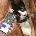thumbnail image 3 of 2025 New Mini Bell Cat Tracker, Mini Tracker for Pet iOS & Android, Waterproof Cat Collar with Finder Tag, Cats GPS Tracker Collar(A-Android，Grey), 3 of 5