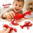 thumbnail image 2 of Realistic Lobster Squishy Squeeze Sensory Fidget Item, Soft Rubber Inspired Novelty Sea Creature Desk Companion For Home School Travel, Party Favor, Birthday Holiday Gift For Adults And Teens, 2 of 5