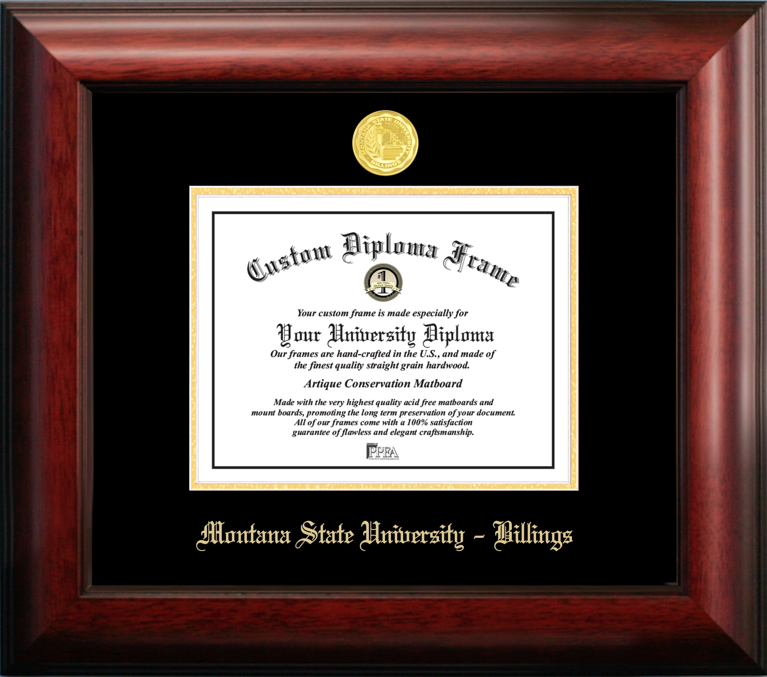 montana state university billings montana state university billings