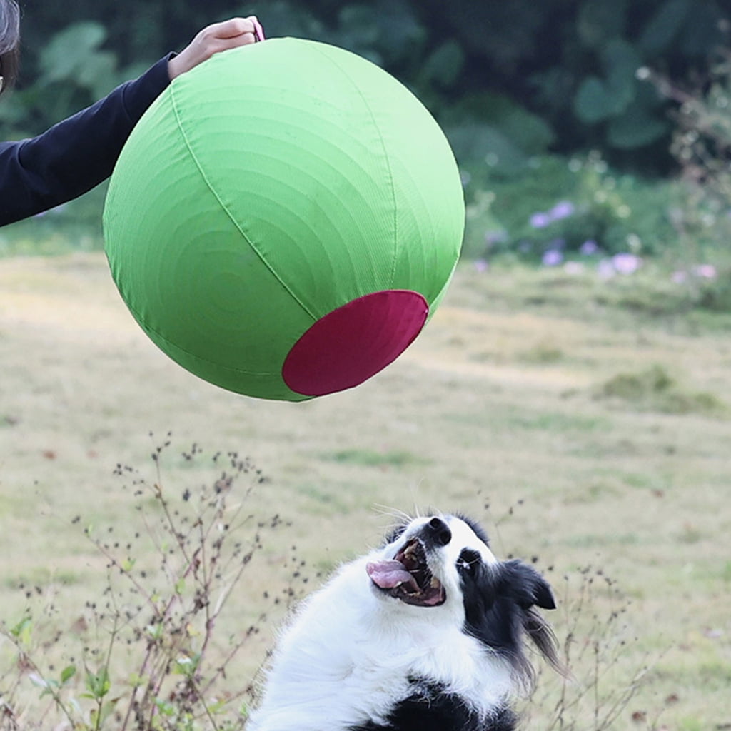 AOOOWER Dog Herding Ball for Shepherds, Corgis, Collies Interactive Bouncy Toy