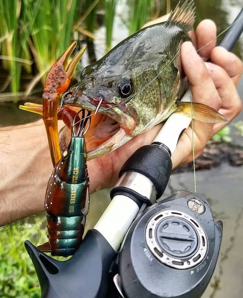 Yo-Zuri 3DB Crayfish Hard Bait Fishing Lure 3" Burnt Orange Crayfish
