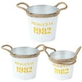 thumbnail image 1 of 3pcs Decorative Bucket Iron Flower Pot Iron Flowers Bucket Iron Plant Storage Containers Bucket, 1 of 9
