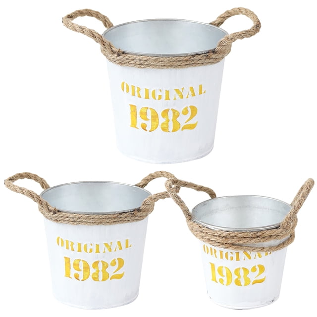 3pcs Decorative Bucket Iron Flower Pot Iron Flowers Bucket Iron Plant Storage Containers Bucket