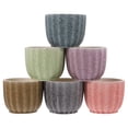 thumbnail image 4 of 6Pcs Ceramic Succulent Pots Breathable Flower Pot Cactus Planters Clay Pots, 4 of 6