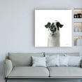 thumbnail image 3 of Trademark Fine Art 'Lovable Llama II Crop' Canvas Art by Laura Marshall, 3 of 3
