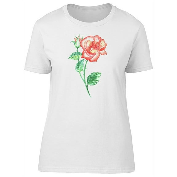 A Pink Rose Old Painting T-Shirt Women -Image by Shutterstock, Female Large