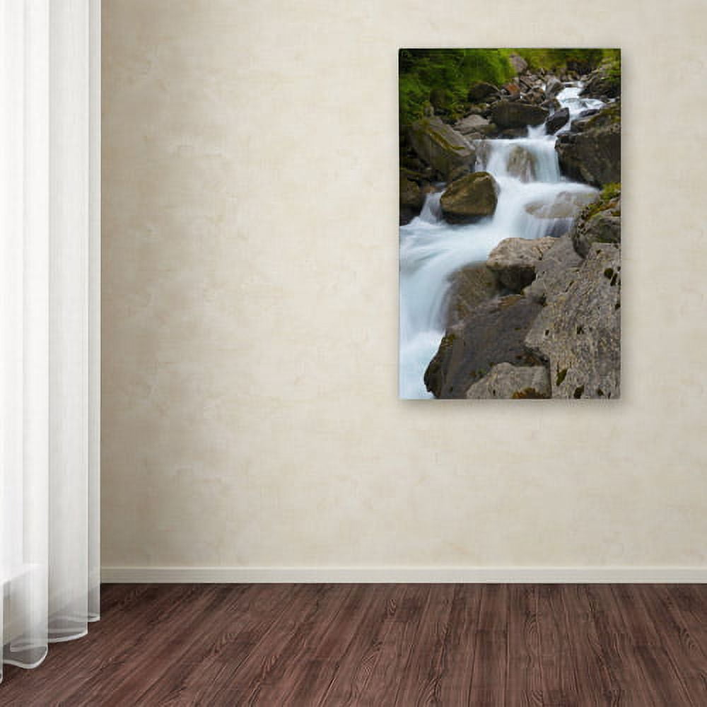 Trademark Fine Art "Wet Rocks" Canvas Art by Philippe Sainte-Laudy