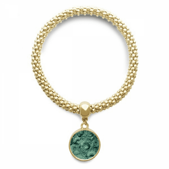 nautilus ammonites s specimen en bracelet round pendant jewelry chain