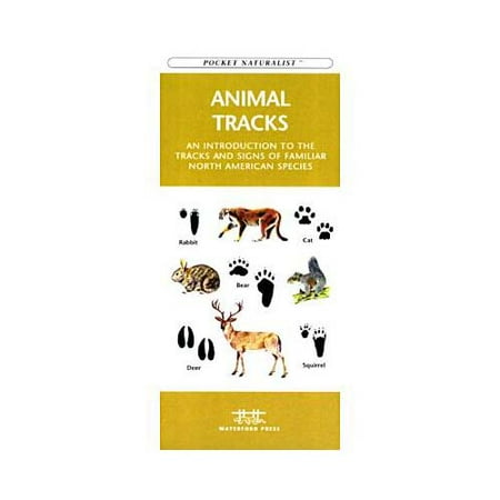 Animal Tracks A Folding Pocket Guide To The Tracks