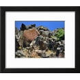 thumbnail image 2 of She Who Watches, Tsagaglalal Petroglyph, Washington, USA, Scenic World Culture Framed Art Print Wall Art by Jaynes Gallery Sold by Art.Com, 2 of 6