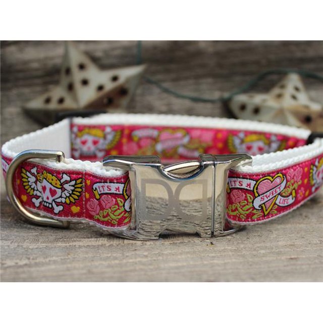 Wild One Pink Dog Collar M/L