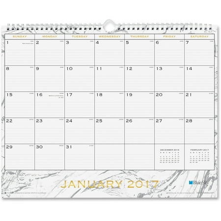 Blue Sky, BLS18933, Carrera Wall Calendar, 1 Each, Multicolor