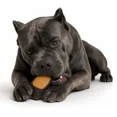 thumbnail image 4 of 10 Piece Filled Dog Chew Hooves Choose Bully Beef, Cheese Bacon or Peanut Butter (Bully Beef), 4 of 8