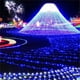 thumbnail image 5 of Guirnalda de luces LED navideñas para exteriores, 100 m, 10 m, 5 m, para decoración de árboles de Navidad, 5 of 5