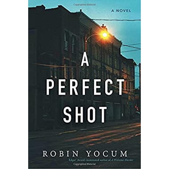 Pre-Owned A Perfect Shot (Paperback) 1633884171 9781633884175