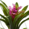 thumbnail image 2 of Nearly Natural 8in. Tropical Bromeliad Artificial Flowers in Angled Vase, Purple, 2 of 3