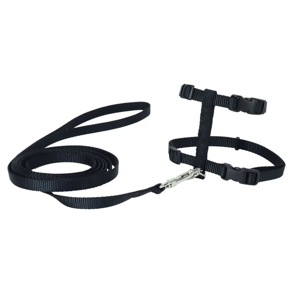 Pet Attire Black Adjustable Cat "H" Harness & 6' Leash Cat Combo