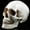 A, variant on Realistic Human Skull Model Halloween Prop, Life Size Resin Skeleton Head Decoration for Party, Classroom, and Home Decor