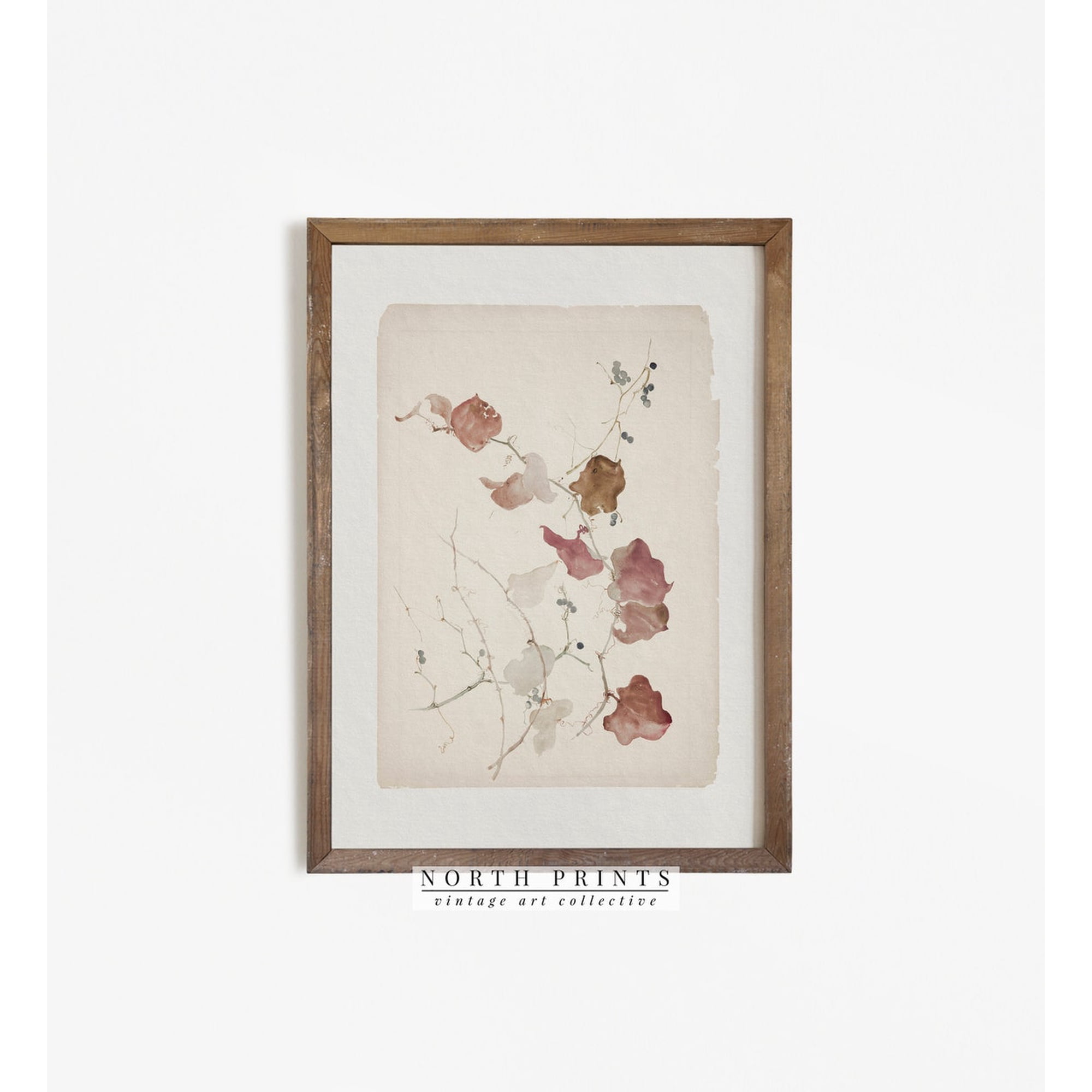 Antique Botanical Vine Wall Art Print With Vintage Country Farmhouse Decor Unframed Paper Print