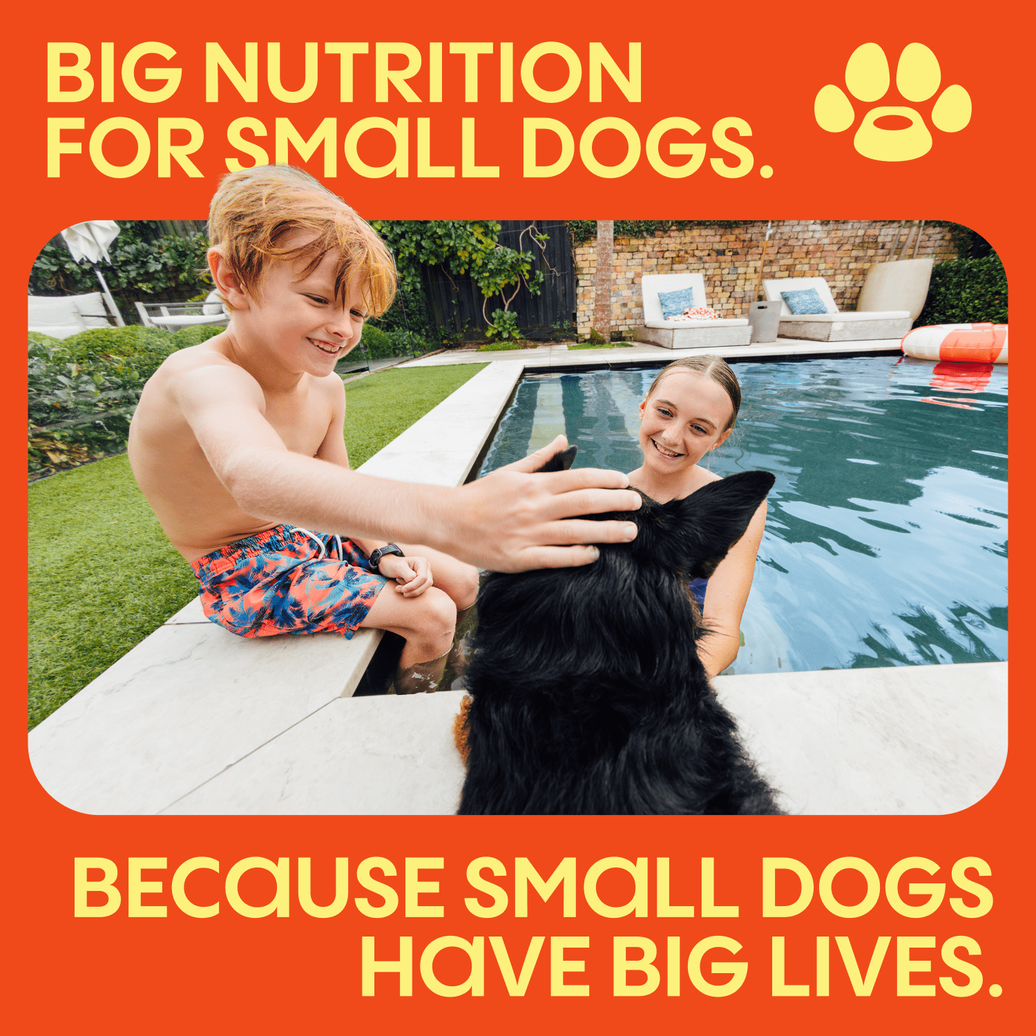 (24 pack) Small Matters Adult Dog Food for Small Dogs, Chicken & Salmon Medley Chunks in Gravy, 3.5oz Pouch
