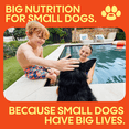 thumbnail image 4 of Small Matters Adult Dog Food for Small Dogs, Chicken & Salmon Medley + Lamb & Rice Medley Variety Pack, 3.5oz x 12 Packs, 4 of 9