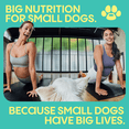 thumbnail image 4 of Small Matters Puppy Dog Food for Small Dogs, Chicken & Brown Rice Recipe, 4lb bag, 4 of 10
