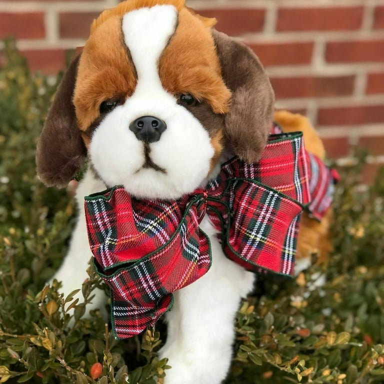 Saint bernard cheap clothes