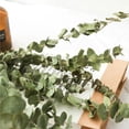 thumbnail image 2 of Naiovety 10PCS/Bundle Green Leaf Bouquet Dried Flower Real Home Branches Preserved Fresh Eucalyptus Shelf Decoration Long Life Decoración del hogar 40-50cm Naiovety HA039741-02, 2 of 6