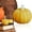 E, variant on olkpmnmk Hand Poured Pumpkin Gourd Shaped Scented Soy Wax Mini Candles Bulk, Fall Thanksgiving Halloween Decorative Tealight Candle, Pumpkin Candles for Table Bedroom Bathroom Indoor Home Decor