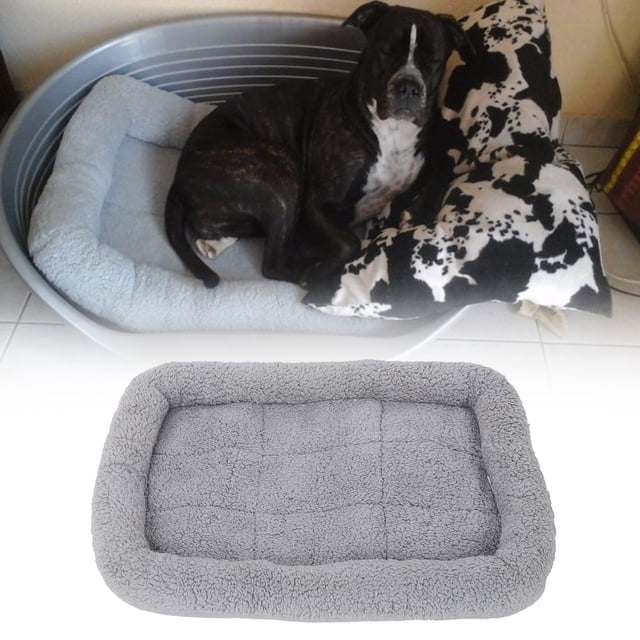 Cama Para Perros, Camas Trayable Para Cachorros, Cama Para Cachorros, Cama Esponjosa Para Gatos, Lavable, Cama Para Perros Pequeños, Almohadilla Para Caja Con Fondo
