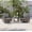 Gray, variant on ACEGOSES 3-Piece Patio Sofa Set Rattan Swivel Rocking Chair Set Side Table Suiting Backyard, Poolside and Patio,Light Gray