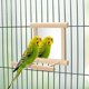thumbnail image 3 of Espejo para pájaros con percha, juguetes para loros, periquitos, cacatúas, agapornis, pinzones, canarios, 3 of 5