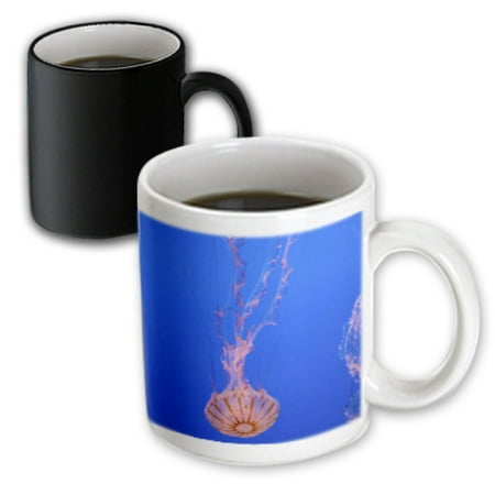 3dRose Jellyfish, Monterey Bay Aquarium, California - US05 DFR0360 - David R. Frazier, Magic Transforming Mug, 11oz