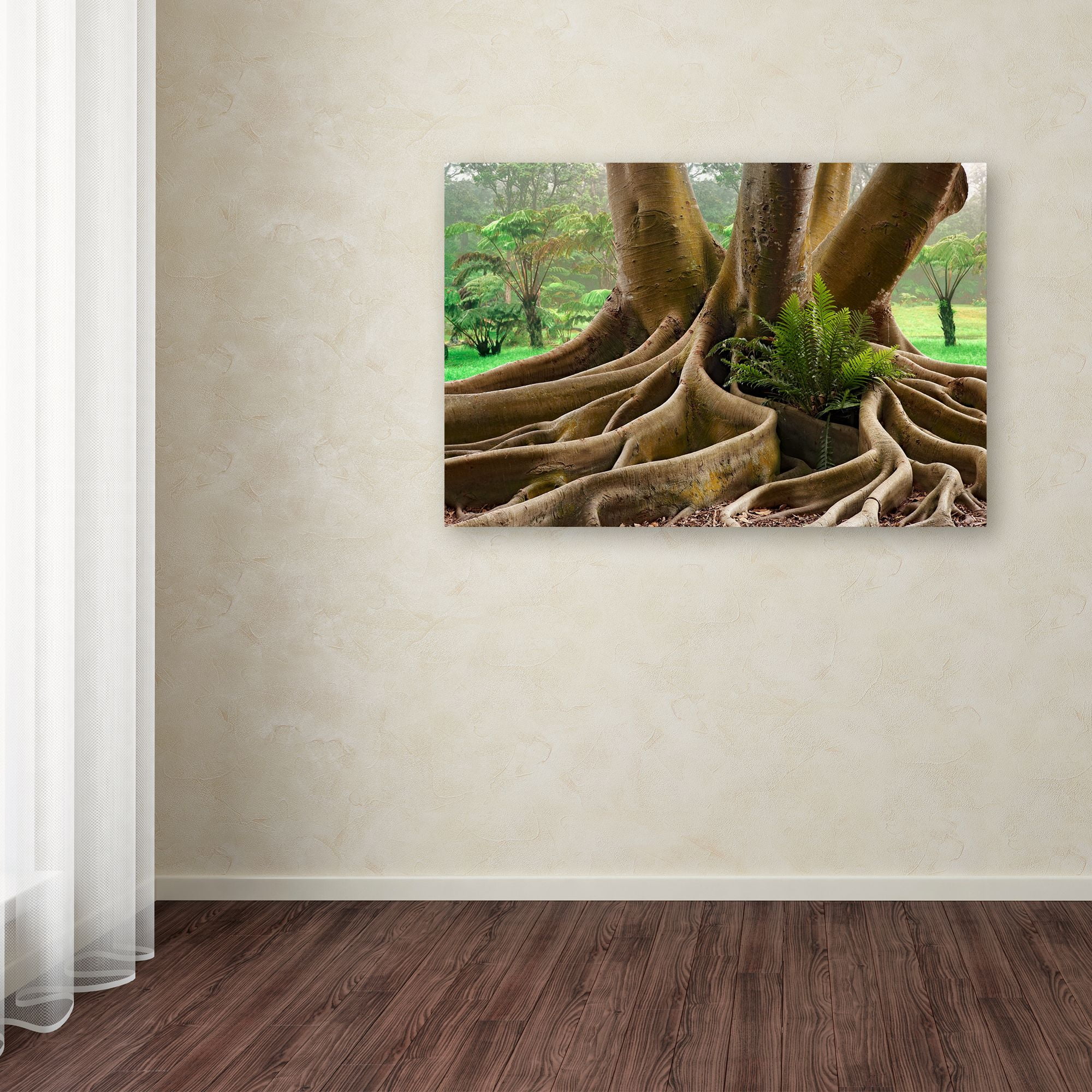 Trademark Fine Art 'Roots Sarasots Big Tree' Canvas Art by Mike Jones Photo
