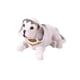thumbnail image 1 of Adornos para coche con forma de perro que mueve la cabeza, adornos para el salpicadero del coche, adorno para la oficina, para la habitación. Blanco, 1 of 9