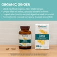 thumbnail image 5 of Himalaya Ginger Equivalent to 4,766 mg of Ginger Powder for Nausea and Upset Stomach, 60 Caplets, 5 of 5
