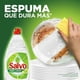 thumbnail image 5 of Jabón Líquido para Trastes Salvo Pure & Lemon Remueve Grasa, Rinde hasta 50% Más*, 1.2L, 5 of 5