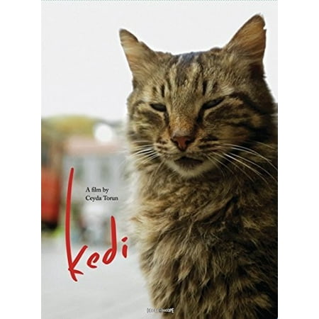 Kedi (DVD)