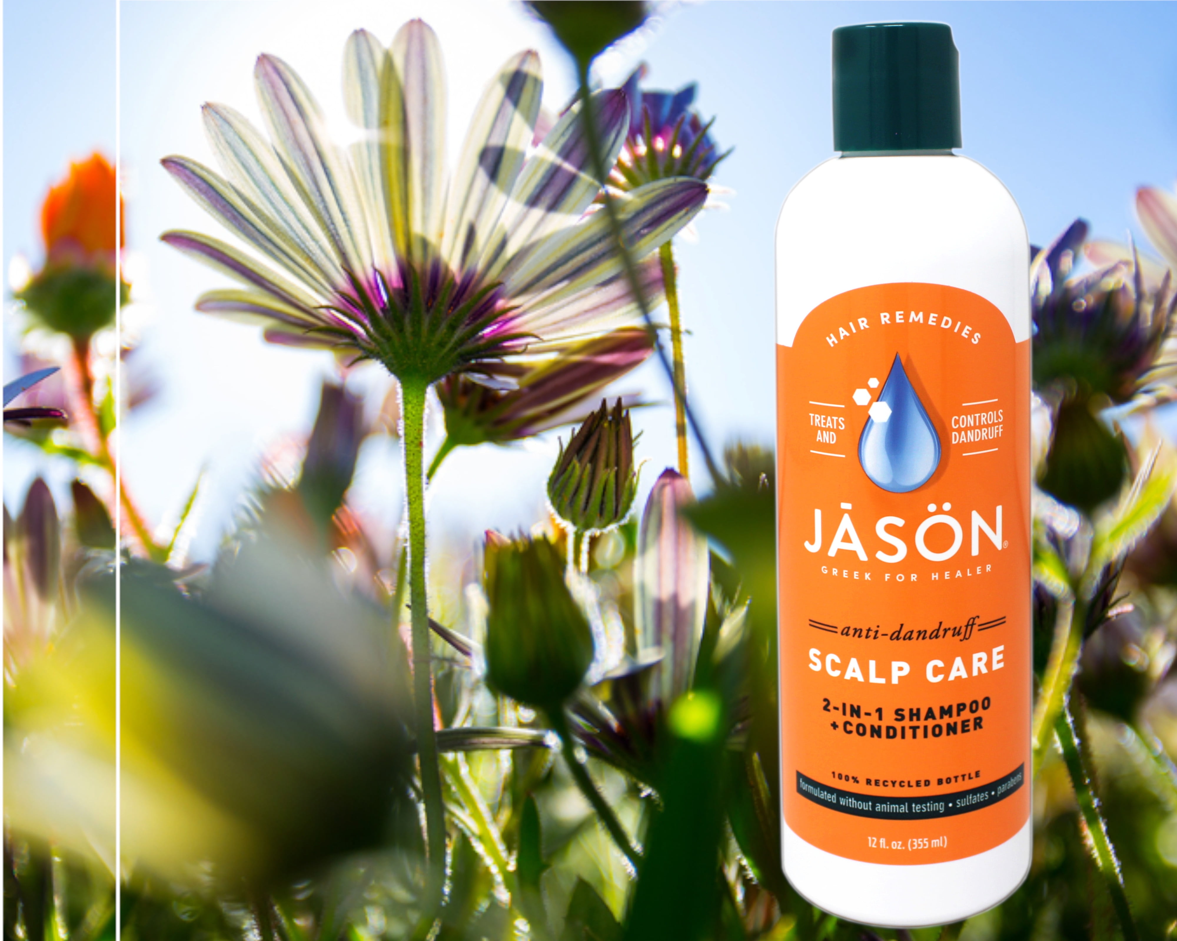 JASON, Dandruff Relief 2 in 1 Shampoo and Conditioner, 12 fl oz