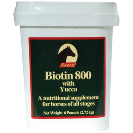 Biotin Powder - Biotin 800 Powder with Yucca, 2 lbs