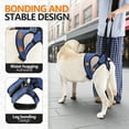 thumbnail image 5 of Dog Sling for Medium Large Dog Rear Leg, Lift Harness - Hind Leg Support for Medium and Large Dogs, Adjustable Lift Aid for Elderly, Injured, Arthritic Pets Recovering from Surgery or Mobility Issues, 5 of 7