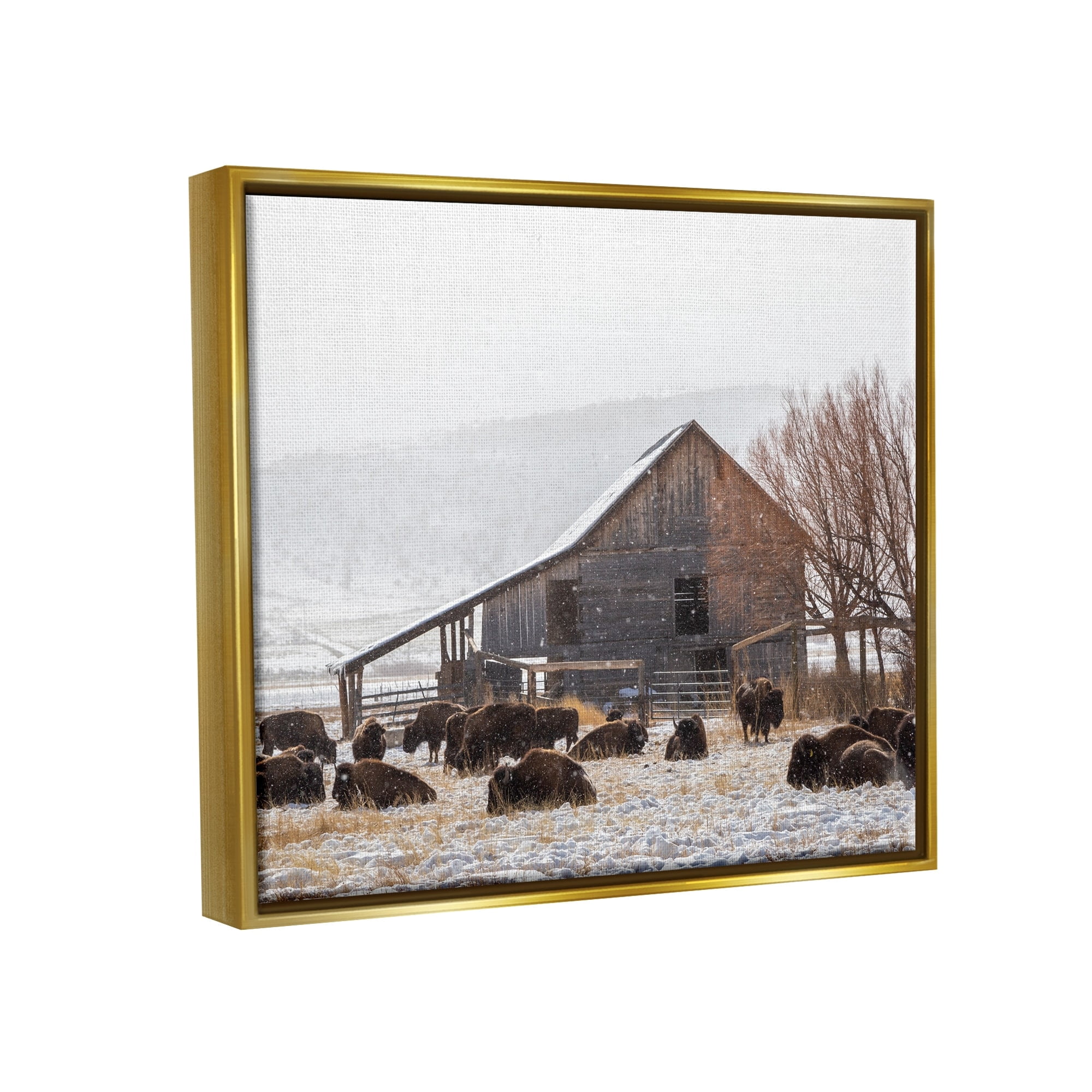 Stupell Industries Snow Dusted Barn Buffalo Bison Rural Farm Photograph Metallic Gold Floating Framed Canvas Print Wall Art, Design by Jeff Poe Photography