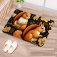 thumbnail image 5 of Squirrel Polyester Non-Slip Machine Washable Floor Rug Indoor Rug - Best Office Mat at Amazon, 5 of 6
