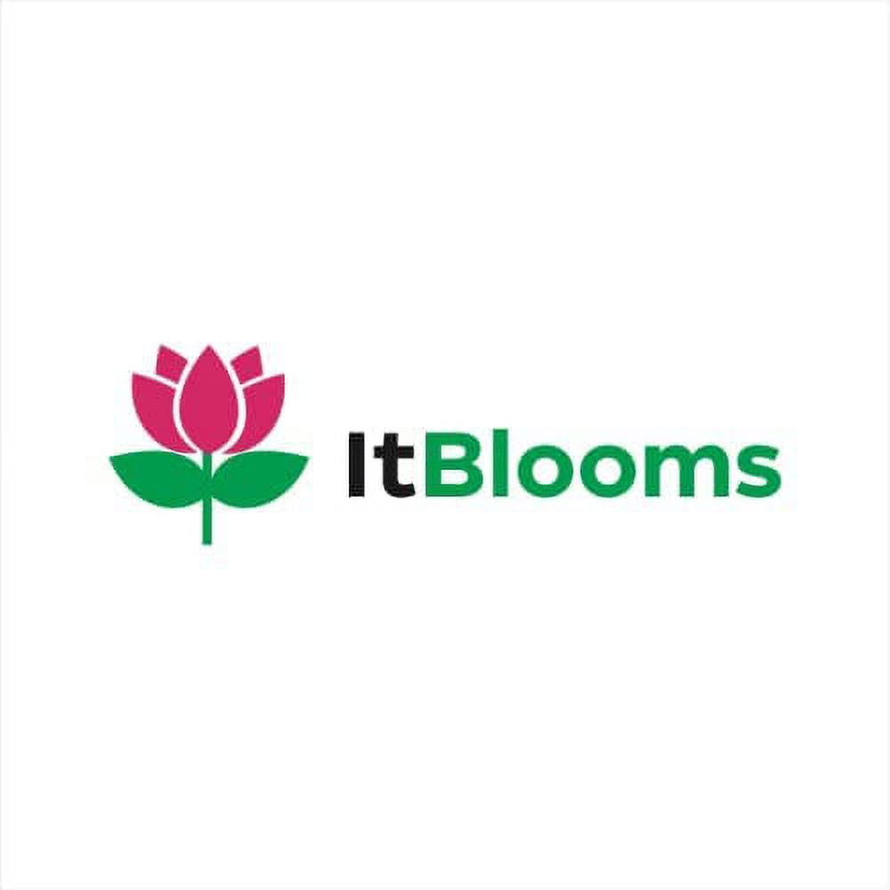 It Blooms Rainforest Grown Assorted Air Live Plants (10 Count)
