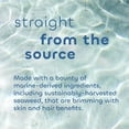 thumbnail image 4 of Crema corporal Seaweed Bath Co. Hydrate Citrus Vanilla 180 ml, 4 of 4