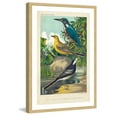thumbnail image 3 of Marmont Hill "Kingfisher & Wagtail" Framed Painting Print, 3 of 5