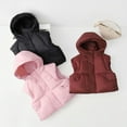 thumbnail image 3 of Tiijoy Toddler Boys Puffer Hooded Vest Winter Warm Sleeveless Zip Up Coat, Sizes 3-4, 3 of 4