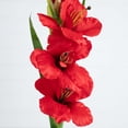 thumbnail image 3 of Nearly Natural Artificial Gladiolus Floral Stem Sprays - 45" - Set of 3 - Red, 3 of 7