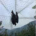 thumbnail image 4 of Anti Bird Bird-prevention Net Netting Mesh For Fruit Crop Plant Tree Garden 2cm Net Hole 5x15/20m Black Nylon Anti Bird Net Mesh, 4 of 5